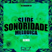 Dj Shadow Zn - Slide Sonoridade Melódica (Speed Up) mp3 скачать
