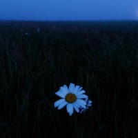 ISTINA - ДОМА mp3 скачать